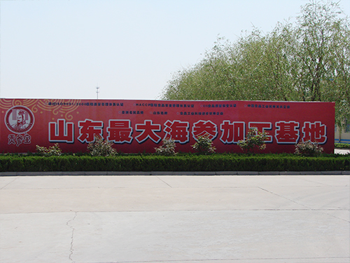 �͑�����