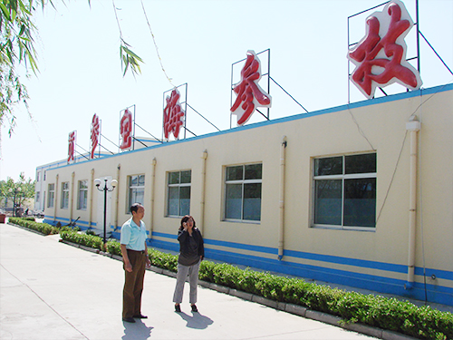 �͑�����